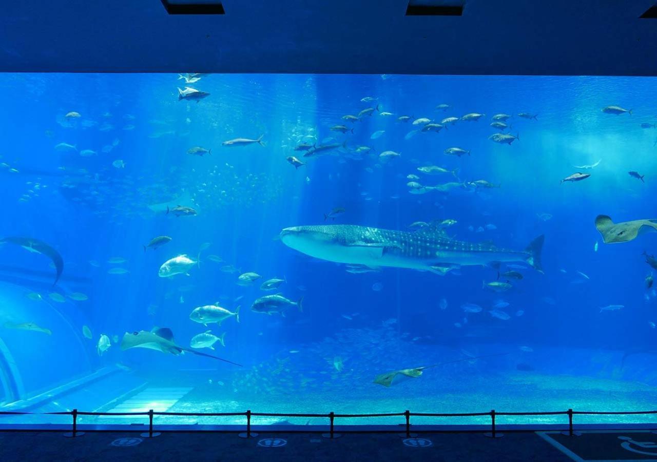 Hotel Mahaina Wellness Resorts Okinawa Dış mekan fotoğraf